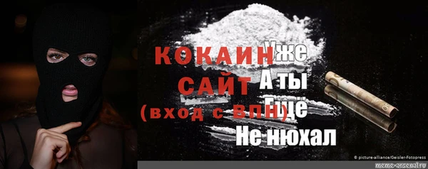 сатива Володарск