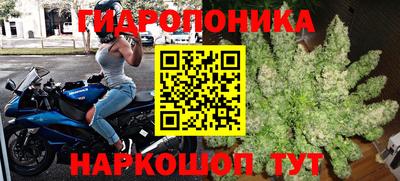 экстази Шелехов