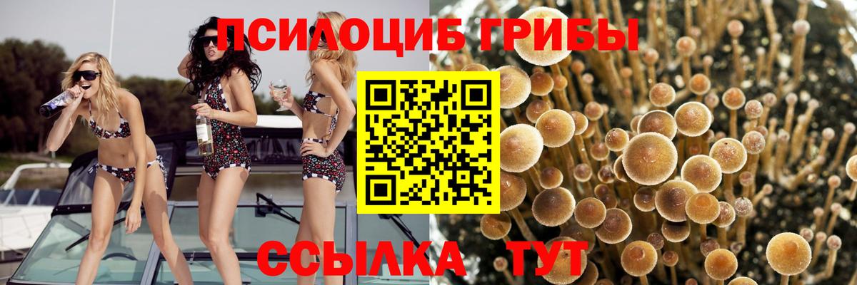 Псилоцибиновые грибы мухоморы Волоколамск