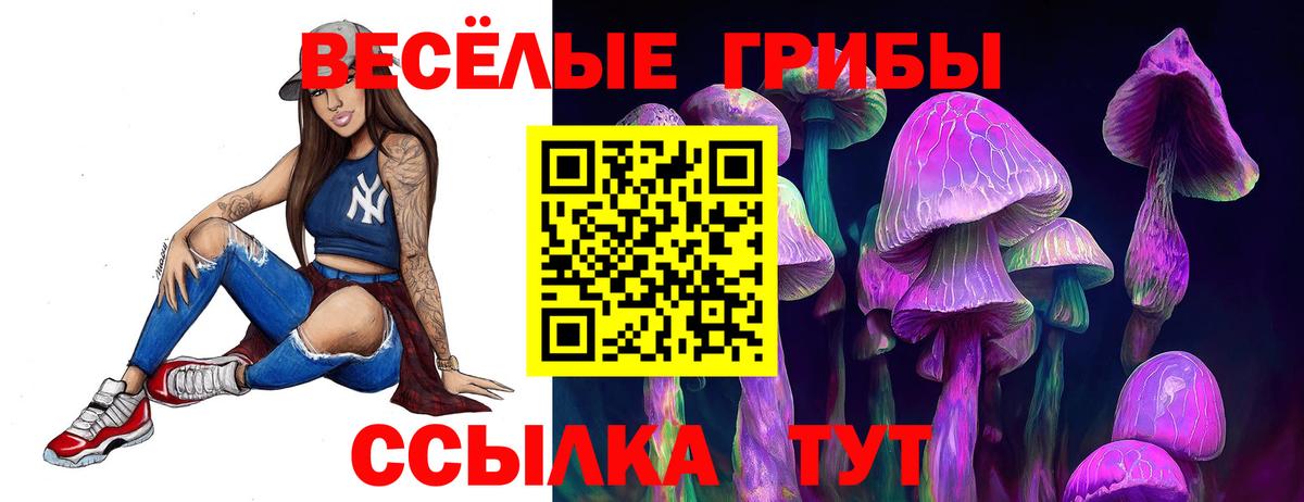 Волоколамск  Галлюциногенные грибы MAGIC MUSHROOMS  Вход с VPN 